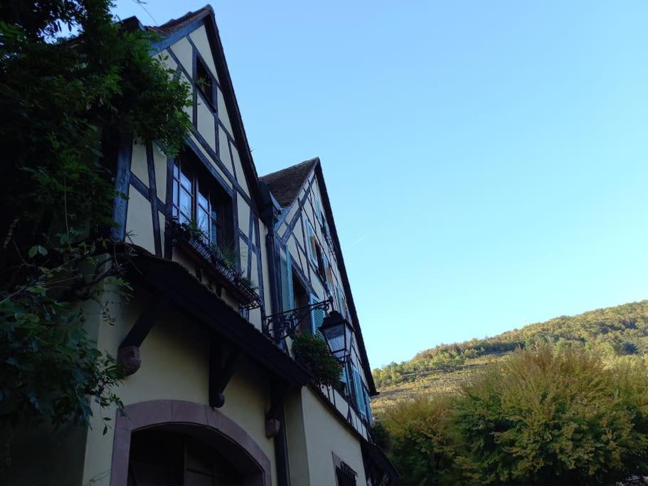 S'Gleina Gleck, In The Heart Of A Wine City, Charmant Studio 1 Piece Et 1 Salle De Bain Kaysersberg-Vignoble Buitenkant foto
