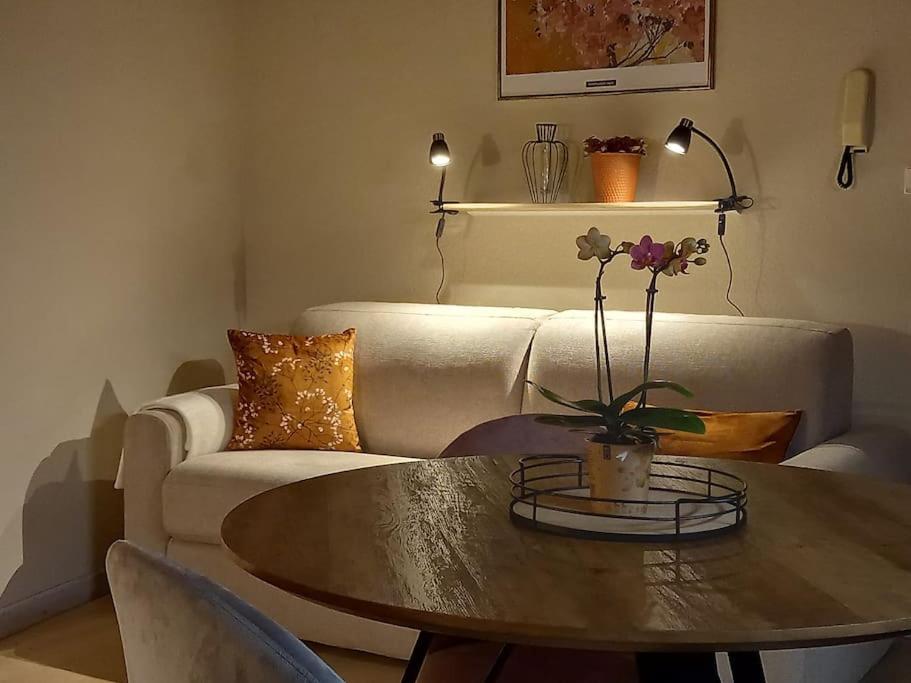 S'Gleina Gleck, In The Heart Of A Wine City, Charmant Studio 1 Piece Et 1 Salle De Bain Kaysersberg-Vignoble Buitenkant foto
