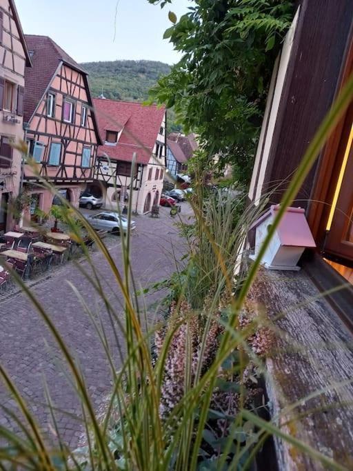 S'Gleina Gleck, In The Heart Of A Wine City, Charmant Studio 1 Piece Et 1 Salle De Bain Kaysersberg-Vignoble Buitenkant foto